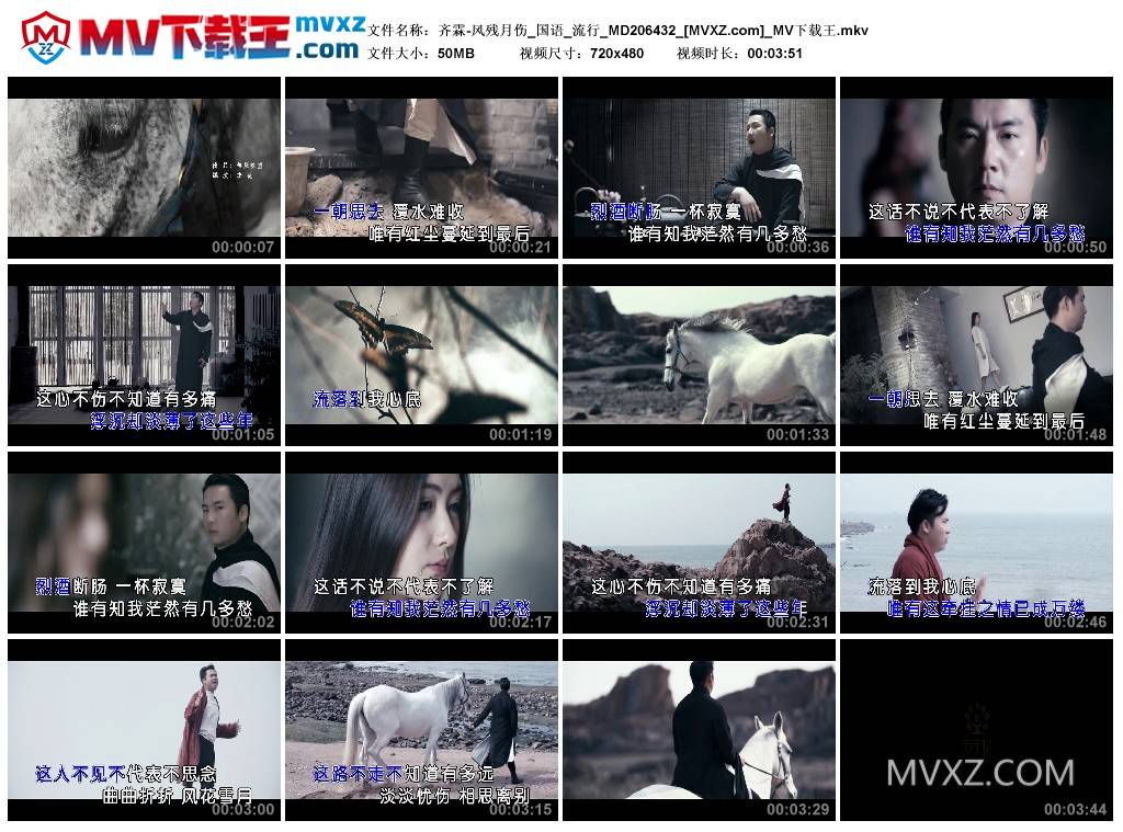 齐霖-风残月伤_国语_流行_MD206432